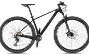 Horské kolo 4EVER INEXXIS ELITE carbon/metal stříbrná 