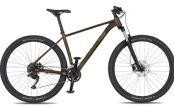Horské kolo 4EVER FRONTBEE XCM gold galaxy 2026