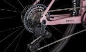 Gravel kolo 4EVER GRIZZLY AXS LADY coral black 2026