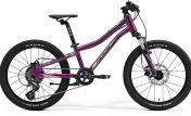 Dětské kolo MERIDA MATTS J.20 Purple(Black/Champagne)
