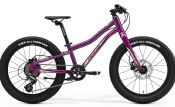 Dětské kolo MERIDA MATTS J.20+ Purple(Black/Champagne)