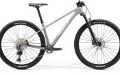 Horské kolo MERIDA BIG.NINE 3000 Cool Grey(Silver/Black) 2024