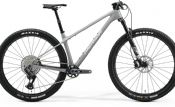 Horské kolo MERIDA BIG.NINE TR 8000 Cool Grey(Silver/Black) 2024