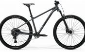 Horské kolo MERIDA BIG.NINE 40 Silk Dark Grey(Black)  2026