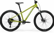 Horské kolo MERIDA BIG.SEVEN 20 Fall Green(Silvergreen)  2026