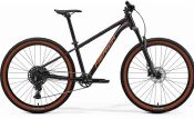 Horské kolo MERIDA BIG.SEVEN 40 Metallic Black(Red)  2026