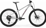 Horské kolo MERIDA BIG.SEVEN 200 Matt Grey(Glitter Cherry)  2026