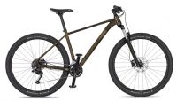 Horské kolo 4EVER FRONTBEE XCM gold galaxy 2026