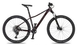 Dámské horské kolo 4EVER FRONTBEE 27,5 Lady dark wine / silver 2026