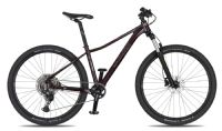 Dámské horské kolo 4EVER FRONTBEE 27,5 Lady dark wine / silver 2026