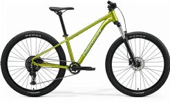 Horské kolo MERIDA BIG.SEVEN 20 Fall Green(Silvergreen)  2026
