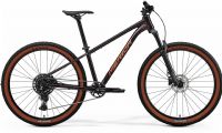 Horské kolo MERIDA BIG.SEVEN 40 Metallic Black(Red)  2026
